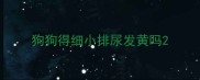 狗狗得细小排尿发黄吗