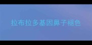 拉布拉多基因鼻子褪色