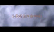 小狗听见声音叫唤