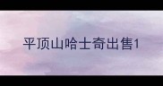 平顶山哈士奇出售
