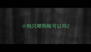 小狗只喂狗粮可以吗