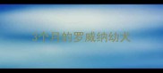 3个月的罗威纳幼犬