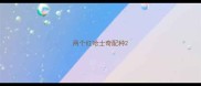 两个红哈士奇配种