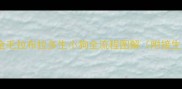 新手必看金毛拉布拉多生小狗全流程图解附接生急救指南