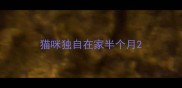 猫咪独自在家半个月