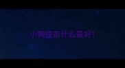 小狗疫苗什么最好