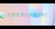 边牧毛用什么梳子好