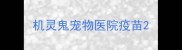 机灵鬼宠物医院疫苗