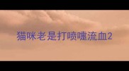 猫咪老是打喷嚏流血