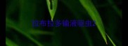 拉布拉多输液驱虫