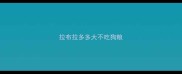 拉布拉多多大不吃狗粮