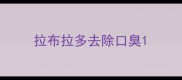 拉布拉多去除口臭