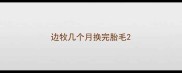 边牧几个月换完胎毛