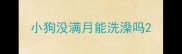 小狗没满月能洗澡吗