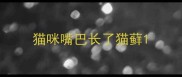猫咪嘴巴长了猫藓