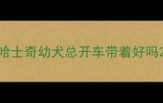 哈士奇幼犬总开车带着好吗