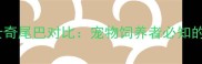狼与哈士奇尾巴对比宠物饲养者必知的3大差异