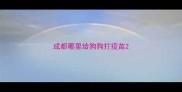 成都哪里给狗狗打疫苗