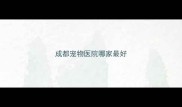 成都宠物医院哪家最好