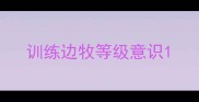 训练边牧等级意识