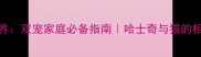 猫和哈士奇一起养双宠家庭必备指南哈士奇与猫的相处攻略注意事项