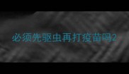必须先驱虫再打疫苗吗