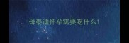 母泰迪怀孕需要吃什么