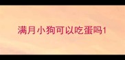 满月小狗可以吃蛋吗