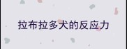 拉布拉多犬的反应力