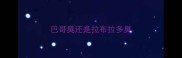 巴哥臭还是拉布拉多臭