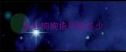 金毛狗狗指甲剪多少