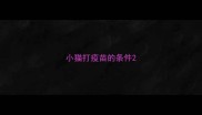 小猫打疫苗的条件