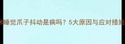 猫咪睡觉爪子抖动是病吗5大原因与应对措施全