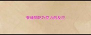 泰迪狗吃巧克力的反应