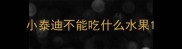 小泰迪不能吃什么水果