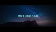 皇家泰迪狗粮怎么样