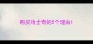 购买哈士奇的5个理由
