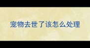 宠物去世了该怎么处理