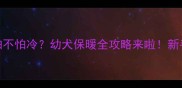 4个月大哈士奇怕不怕冷幼犬保暖全攻略来啦新手养哈士奇必看