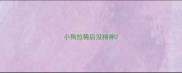 小狗拉稀后没精神