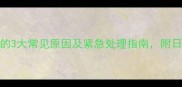 猫咪后腿无力走路不稳的3大常见原因及紧急处理指南附日常护理要点最新版