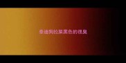 泰迪狗拉屎黑色的很臭