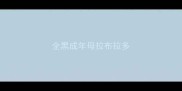 全黑成年母拉布拉多