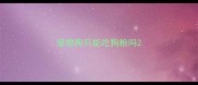 宠物狗只能吃狗粮吗