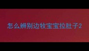 怎么辨别边牧宝宝拉肚子