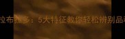 金毛vs拉布拉多5大特征教你轻松辨别品种差异