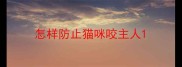怎样防止猫咪咬主人