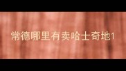 常德哪里有卖哈士奇地