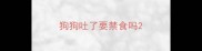狗狗吐了要禁食吗
