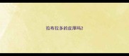 拉布拉多的皮厚吗